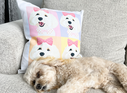 Custom Printed Cotton Canvas Decorative Pillows